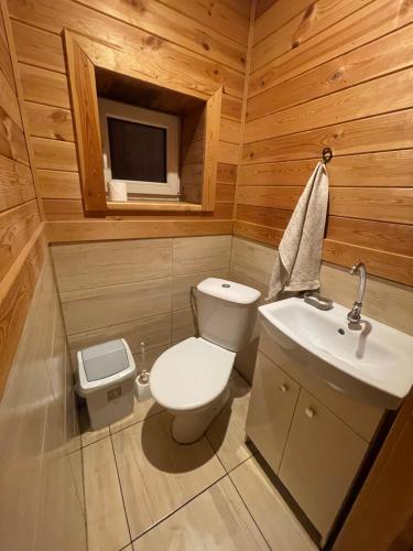 a bathroom with a toilet and a sink and a tv at Classic Latvian Sauna and Hot Tub in a quiet place in Mālpils