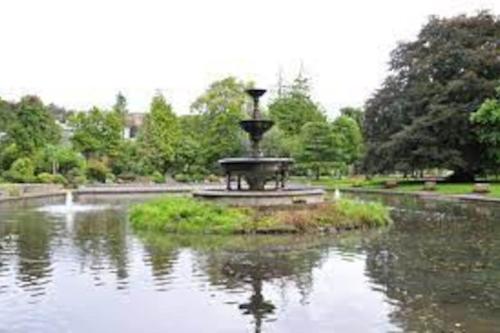 a park with a fountain in the middle of a pond at Cosy City Apartment in Cork