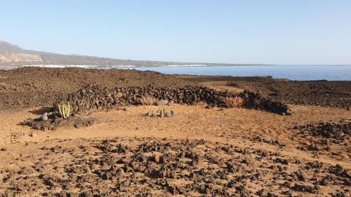 a group of animals standing on a rocky beach at Love story in Mala