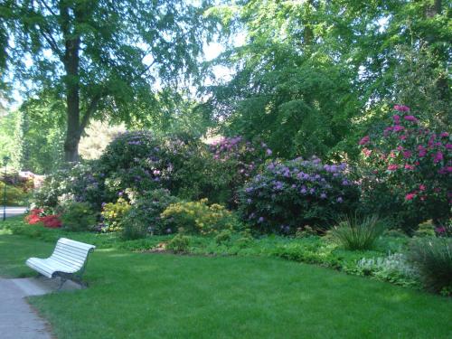 a white bench sitting in a garden with flowers at Küstenwald - Ferienzimmer großer Eikkater 8 in Müritz