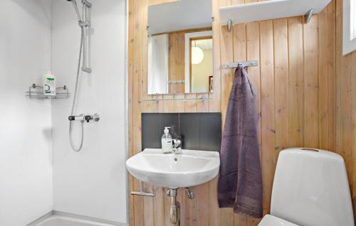 uma casa de banho com um lavatório, um WC e um espelho. em Nice Apartment In Vestervig With Sauna em Vestervig