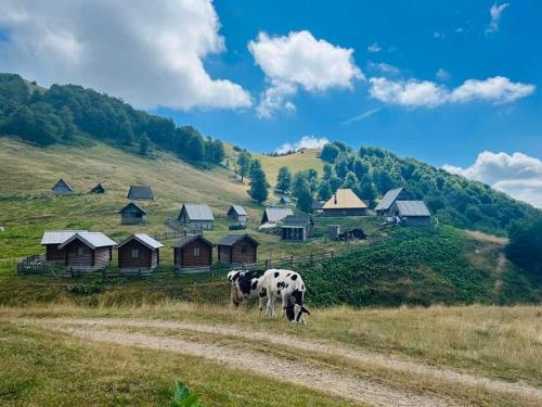 a cow grazing in a field in front of a village at Eco Village Goles in Kolašin