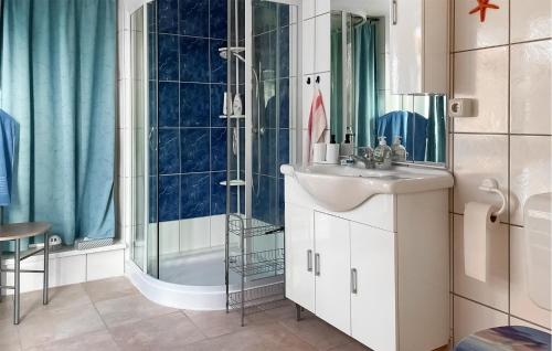 a bathroom with a sink and a shower at Nice Home In Biendorf With Wi-fi in Biendorf