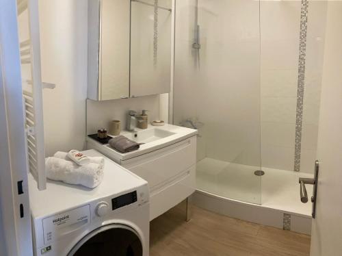 y baño blanco con lavadora y ducha. en Rouen Vue Cathédrale, en Rouen