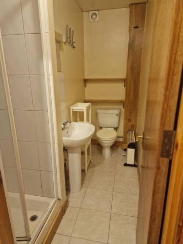 a small bathroom with a toilet and a sink at Bright studio apartment Highgate in London