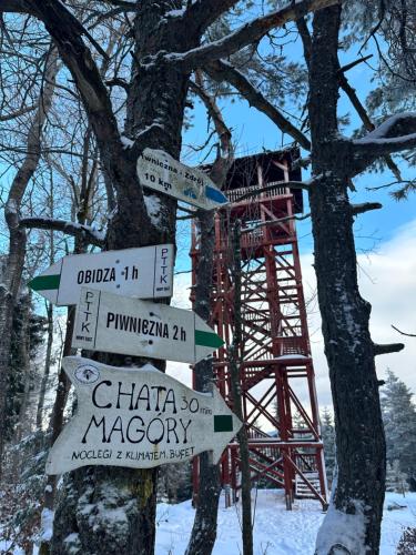 a sign in a tree with a tower in the background at Domki Piwniczna in Piwniczna