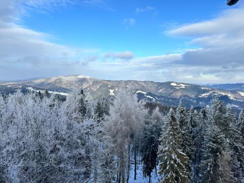 a view of a snowy mountain with trees and mountains at Domki Piwniczna in Piwniczna