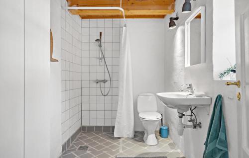 een badkamer met een douche, een toilet en een wastafel bij Nice Apartment In Rnde With Wifi in Rønde