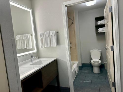 a bathroom with a sink and a toilet and a mirror at Staybridge Suites Milwaukee West-Oconomowoc by IHG in Oconomowoc