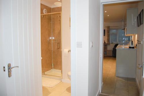 a bathroom with a shower and a toilet at Little Birches in Grimston