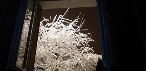 Φωτογραφία από το άλμπουμ του Appart a 10 min de 3 stations de ski σε Modane