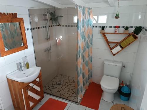 a bathroom with a toilet and a shower and a sink at La Kaza Tresor - Joli appartement T2 et spa privé in Sainte-Anne