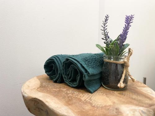 une plante dans un vase sur une table en bois dans l'établissement Le 12 Bis - COSY, à Cherbourg en Cotentin