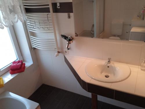 a bathroom with a sink and a mirror at Viel Platz für Entspannung in Schönewalde