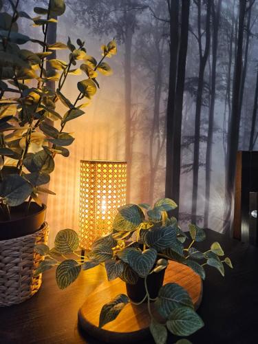 a plant in a vase on a table with a light at Cracovia Luxury Bright Apartment Great Location Sauna in Krakow