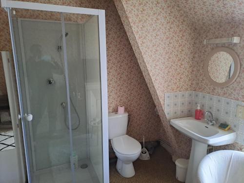 La salle de bains est pourvue d'une douche, de toilettes et d'un lavabo. dans l'établissement cosy vintage room, à Châteauroux