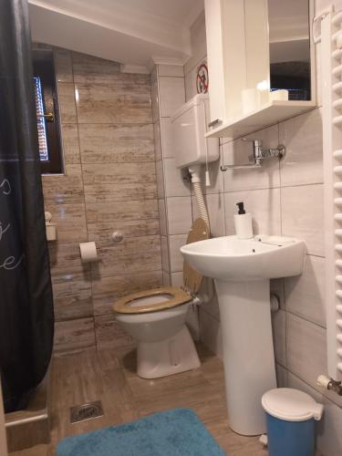 a bathroom with a toilet and a sink at Guest house Dagovic in Bajina Bašta