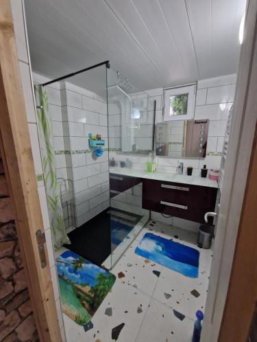 bagno con doccia in vetro e lavandino di maison Samkam57 a Florange
