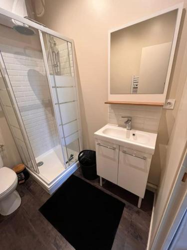 a bathroom with a shower and a sink and a toilet at Le Nid in Le Havre