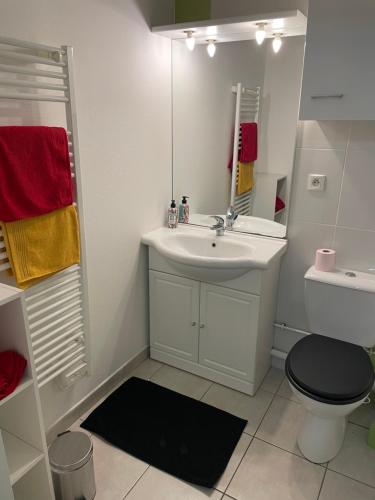 Bagno di Appart 41 Montbéliard: calme et cosy + piscine