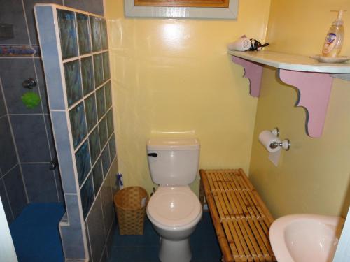 a bathroom with a toilet and a sink at Guanaja Caribbean Cottages in Guanaja