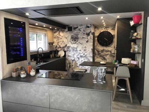 une cuisine avec un évier et un plan de travail dans l'établissement Les Platanes, à Duingt