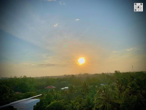 a sunset over a jungle with the sun in the sky at Hotel Phước Thịnh in Vĩnh Long