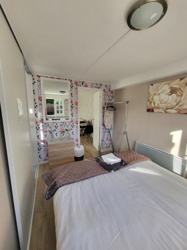 1 dormitorio con 1 cama grande en una habitación en The apartment, en Saint-Rabier