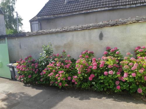 un ramo de flores rosas en una pared en La MAISON VERTE, en Sergines