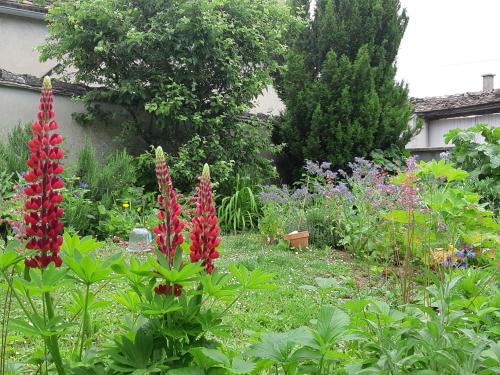 un jardín con flores rojas y otras plantas en La MAISON VERTE, en Sergines