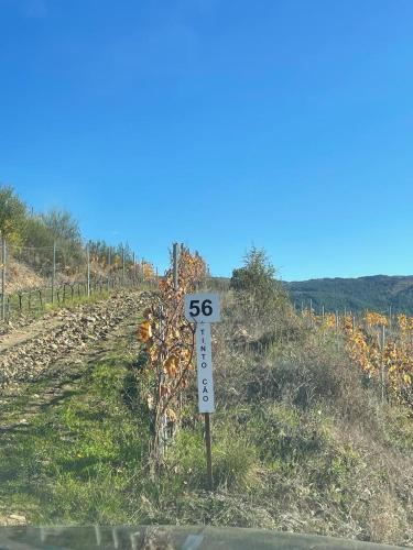 Foto Quinta da Penada - Vineyard & Winery - Suíte 3 6