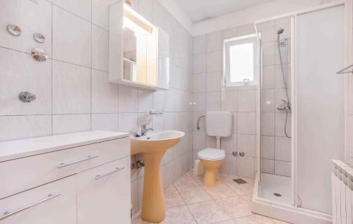een badkamer met een wastafel, een toilet en een douche bij Apartment in Porec - Istrien 45114 in Poreč