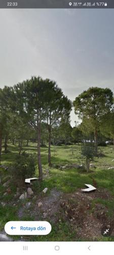 a picture of a park with trees and grass at Otelo in Basaksehir