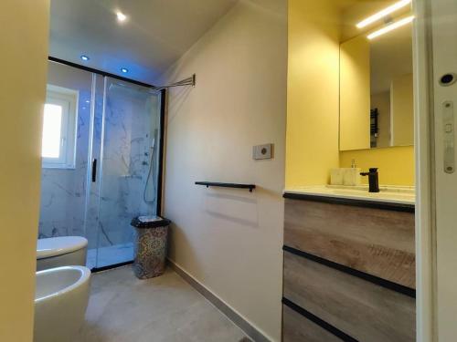 a bathroom with a shower and a toilet and a sink at Volaterrae Deluxe Loft with garden in Volterra