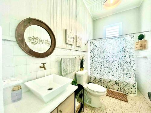 龐塞的住宿－New! Antique House at Ponce，一间带水槽、卫生间和镜子的浴室