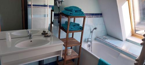 a bathroom with a sink and a shower and a tub at La Forge De Labbaye in Liessies