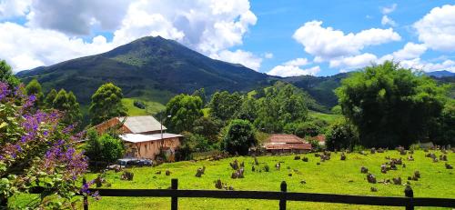 um campo de relva com uma montanha ao fundo em Sitio Alecrim Gastronomia e Hospedaria em Alagoa