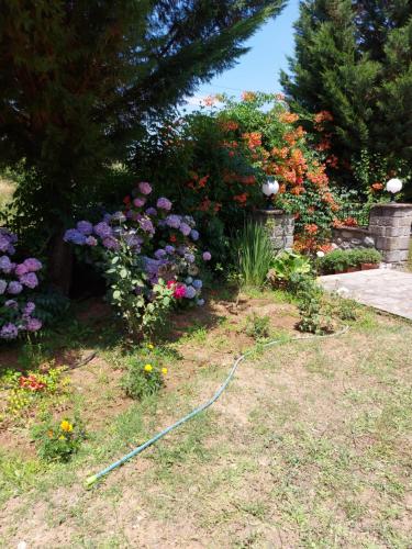 a garden with flowers and a hose in the grass at Hotel Spiridoula in Kleidonia