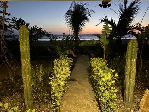a pathway leading to the beach with cacti and the ocean at Stella Mar Oceanfront Hotel in Popoyo