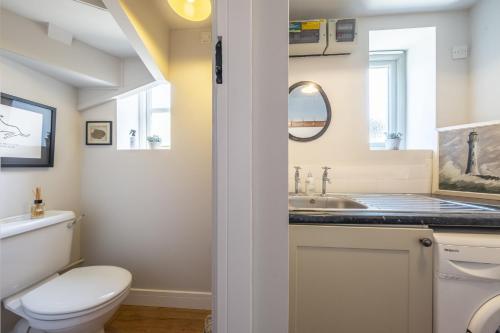 a bathroom with a toilet and a sink at Owl Cottage W in Warham
