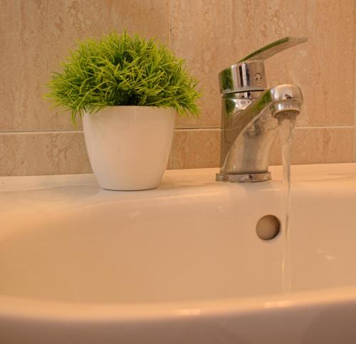 um lavatório de casa de banho com um vaso de plantas em Castelli Studios em Astipaleia