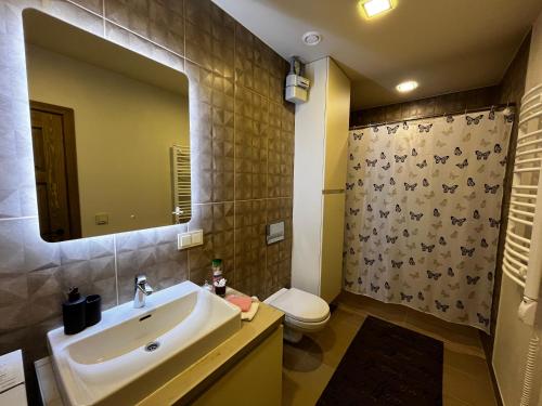 a bathroom with a sink and a toilet and a mirror at Kauno Senamiestis in Kaunas