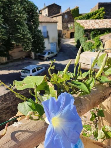 a blue flower sitting on top of a wooden fence at L'Exquishette de Lourmarin, un nid sur les toits. in Lourmarin