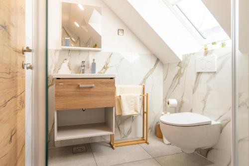 a bathroom with a toilet and a sink and a skylight at Apartments and Rooms Hodnik Slavko in Bohinj