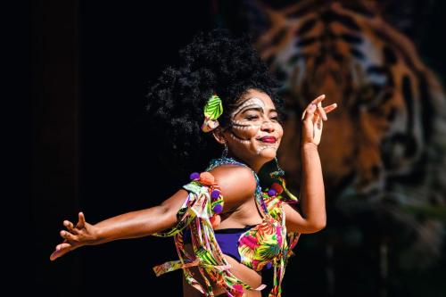 a woman in a colorful dress dancing on a stage at Riu Palace Baja California - Adults Only - All Inclusive in Cabo San Lucas