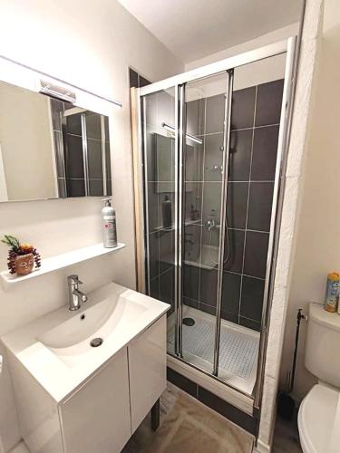 une salle de bain avec une douche, un lavabo et des toilettes dans l'établissement La Halte Catalane, à Perpignan