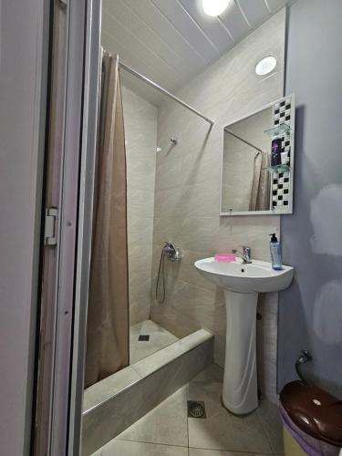 a bathroom with a sink and a shower and a toilet at Guest House Ketevan Niguriani in Mestia