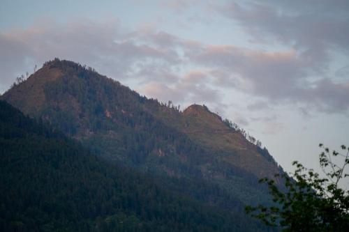 a mountain with trees on top of it at Tiny House nähe Millstättersee gemütlich & autark in Oberkolbnitz