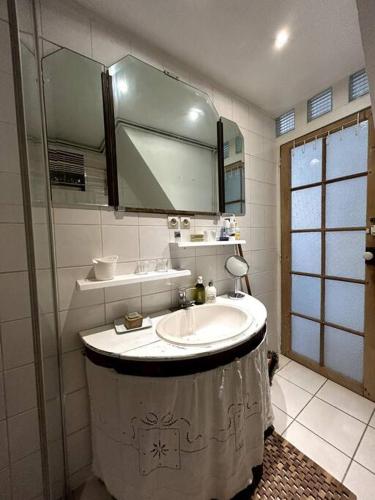 une salle de bain avec un lavabo et un miroir dans l'établissement Maison 50m2 proche Paris pour 2, à Pantin