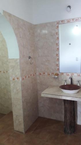 a bathroom with a sink and a mirror at Hotel Texas in Cafayate